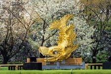 Tourist destination images of Nagoya Castle(2)
