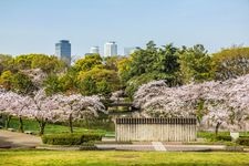 Tourist destination images of Nagoya Castle(7)