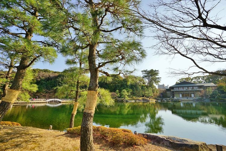 Tokugawaen Garden