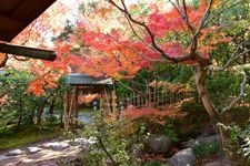 Tourist destination images of Shiratori Garden(5)