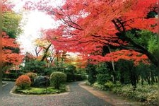 Tourist destination images of Yurakuen Garden(2)