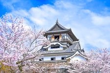 Tourist destination images of Inuyama Castle(5)
