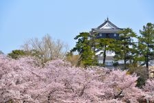 Tourist destination images of Okazaki Castle(4)