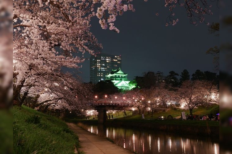 Tourist destination images of Okazaki Castle(2)