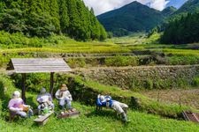 Tourist destination images of Yotsutani's Senmaida Rice Terraces(2)