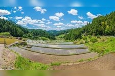 Tourist destination images of Yotsutani's Senmaida Rice Terraces(4)