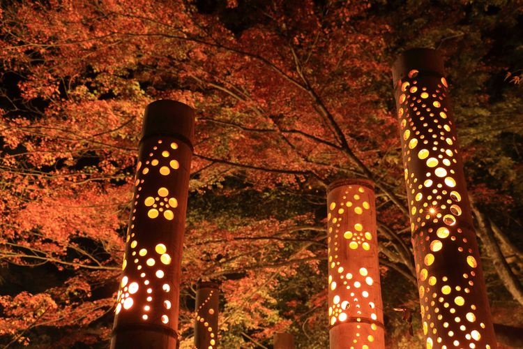 Tourist destination images of Hōraiji Temple(3)