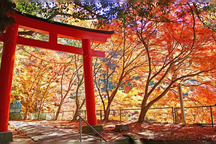 Hōraiji Temple