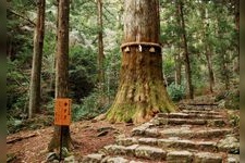 Tourist destination images of Hōraiji Temple(4)