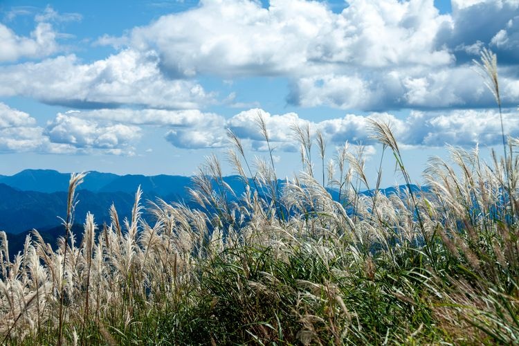 Chausuyama Highland