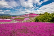 Tourist destination images of Chausuyama Kogen(2)