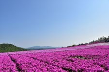 Tourist destination images of Chausuyama Kogen(3)