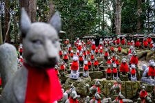 Tourist destination images of Toyokawa Inari (Myoken-ji Temple)(4)