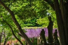 Tourist destination images of Mandaraji Park(4)
