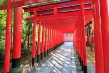 三光稲荷神社の観光地画像(2)