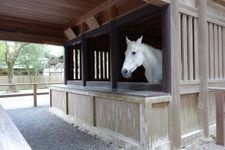 Tourist destination images of Kōtaijingu (Ise Grand Shrine, Inner Shrine)(1)