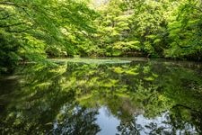 Tourist destination images of Kōtaijingu (Ise Grand Shrine, Inner Shrine)(10)