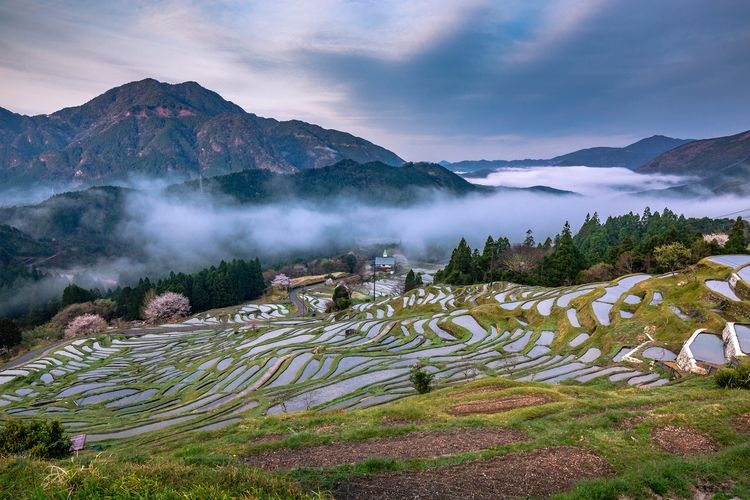 Maruyama Senmaida