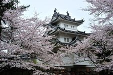 Tourist destination images of Tsu Castle Ruins(3)