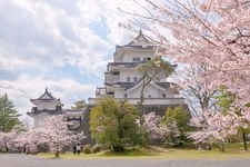 Tourist destination images of Ueno Park(1)