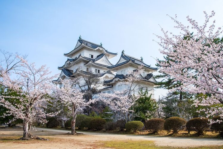 Tourist destination images of Ueno Park(4)
