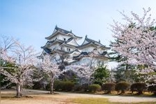 Tourist destination images of Ueno Park(4)