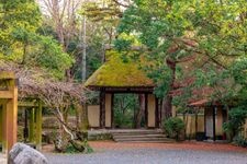 Tourist destination images of Ueno Park(2)