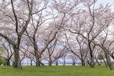 Tourist destination images of Nagahama Castle History Museum(4)