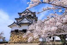 Tourist destination images of Hikone Castle(1)