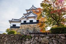 Tourist destination images of Hikone Castle(8)