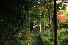 Tourist destination images of Ryōtan-ji Temple(2)