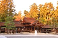 Tourist destination images of Taga Taisha Shrine(1)