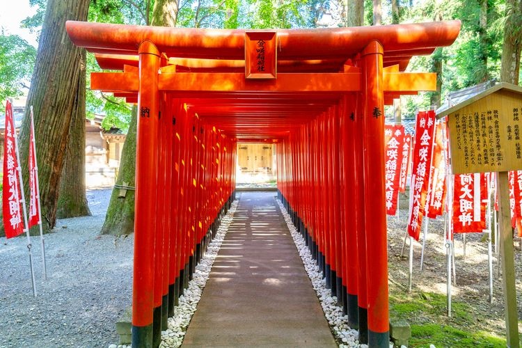 Tourist destination images of Taga Taisha Shrine(2)