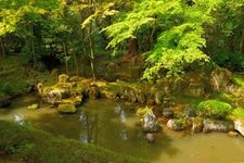 Tourist destination images of Taga Taisha Shrine(4)