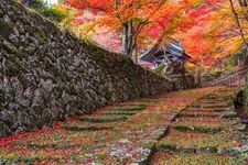 釋迦山 百濟寺（湖東三山）的觀光地圖片(2)