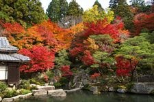 釋迦山 百濟寺（湖東三山）的觀光地圖片(3)