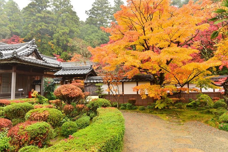 Saiho-ji Temple