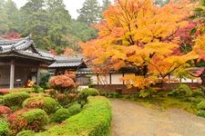 Tourist destination images of Saiho-ji Temple(1)