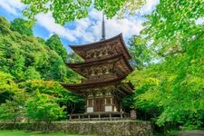 Tourist destination images of Saiho-ji Temple(2)