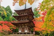 Tourist destination images of Saiho-ji Temple(3)