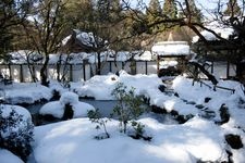 Tourist destination images of Saiho-ji Temple(4)