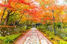 Tourist destination images of Kongourin-ji Temple(1)