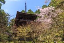 Tourist destination images of Kongourin-ji Temple(10)