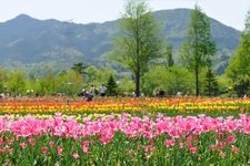 Tourist destination images of Shiga Agriculture Park, Blume no Oka(3)