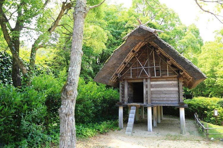 Yayoi no Mori Historical Park & Dōtaku Museum