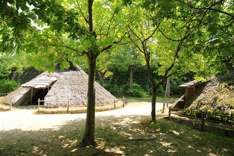 Yayoi no Mori Historical Park & Dōtaku Museum