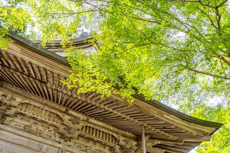 Tourist destination images of Enryaku-ji Temple(2)