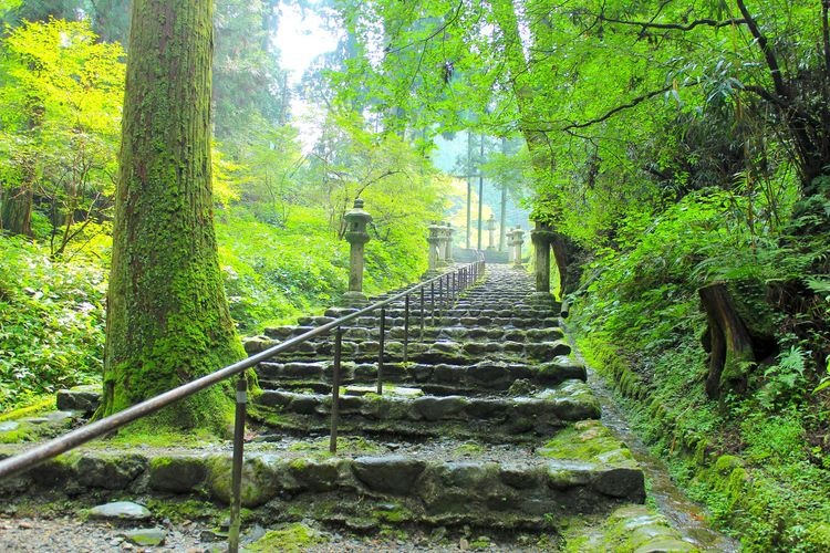 比叡山延暦寺