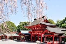 Tourist destination images of Omi Jingu Shrine(3)