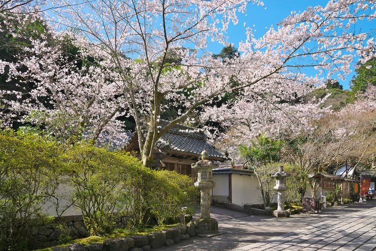 Ishiyamadera Temple